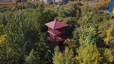 公园树林环绕航拍视频的预览图